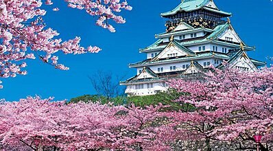 Japonya Kore Turu Genel