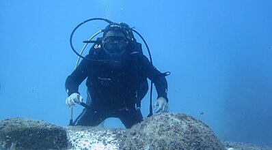 Kaş Dalış Turu Genel