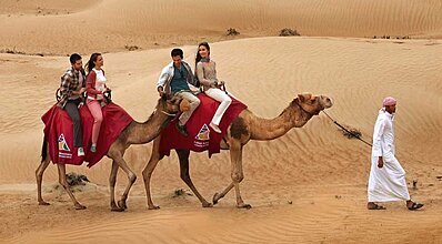 Katar Arabistan Çölleri Turu Genel