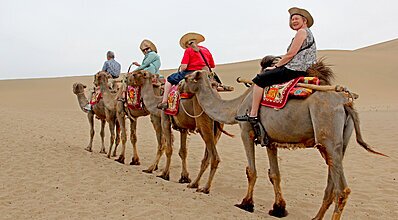 Katar Arabistan Çölleri Turu Genel