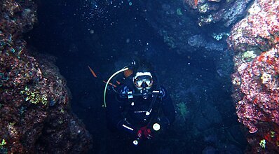 Kekova Dalış Turu Genel