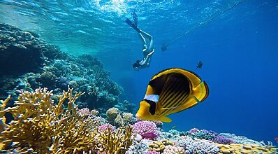 Klasik Sharm El Sheikh Turu Genel