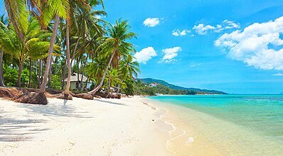 Koh Samui Turu Genel