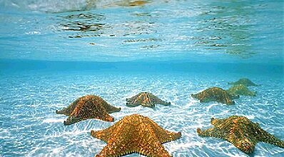 Maldivler Turu Genel