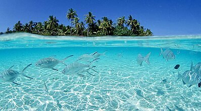 Maldivler Turu Genel