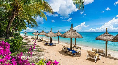 Mauritius Turu Genel