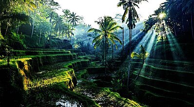 Mega Uzakdoğu Turu Genel