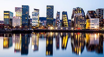 Norveç Fiyortları Turu Genel