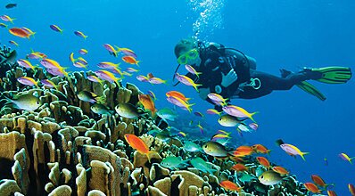 Phuket Bangkok Maldivler Turu Genel