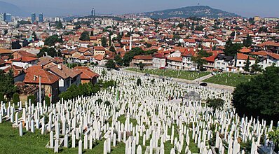 Saraybosna Turu Genel