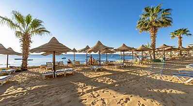 Sharm El Sheikh Turu Genel