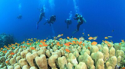 Sharm El Sheikh Turu Genel