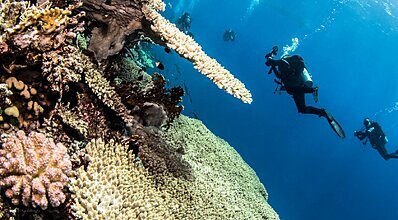 Sharm El Sheikh Turu Genel