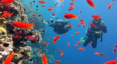 Sharm El Sheikh Turu Genel