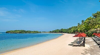 Singapur & Bali Turu Genel