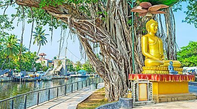 Sri Lanka Turu Genel