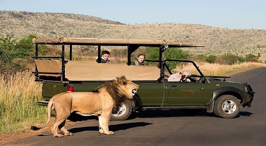 afrika safari turu